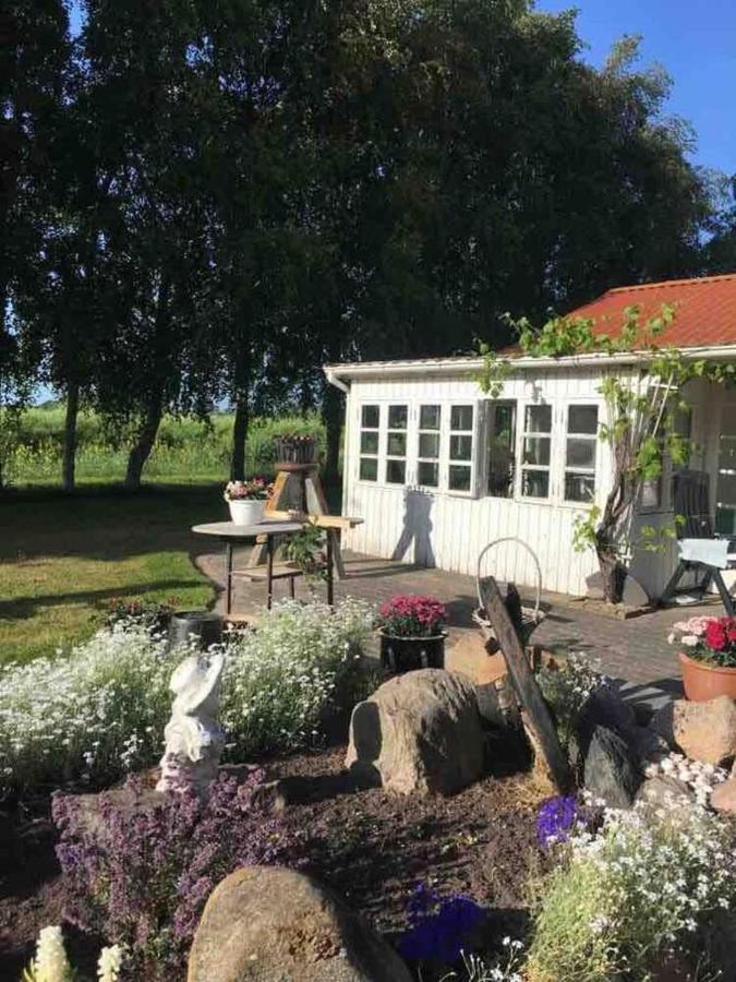 Vila Stunning Romantik Cabin Close To Baltic Sea Idestrup Exteriér fotografie